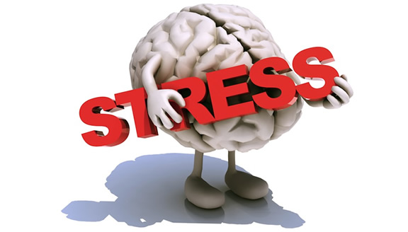 El cortisol la hormona del estrés mjgarcia fitness